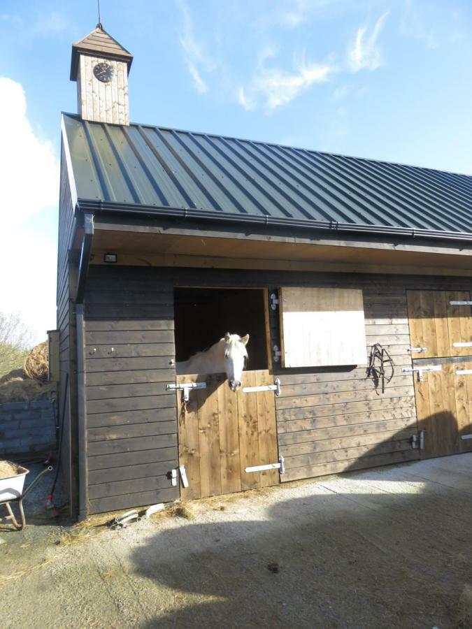 Bunkhouse - Letterfrack Farm Villa Ngoại thất bức ảnh